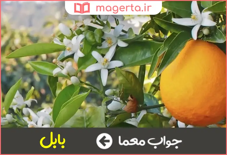 جواب معما شهر بهار نارنج در جدول
