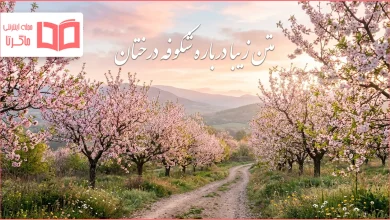 متن زیبا درباره شکوفه درختان