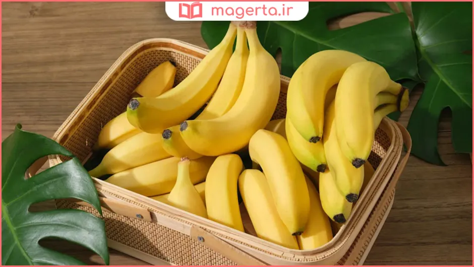 خواص موز برای روده