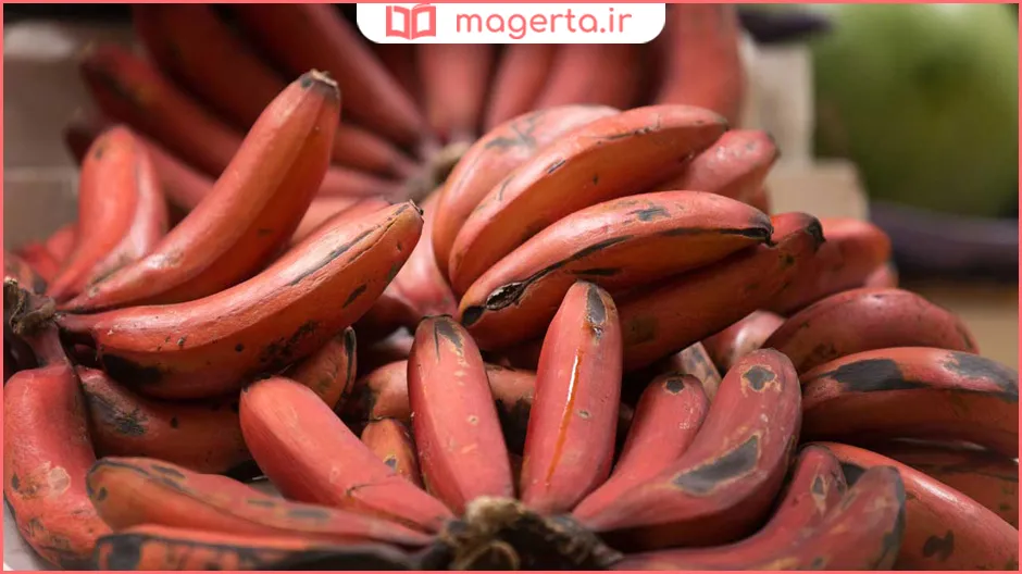 خواص موز برای بدن