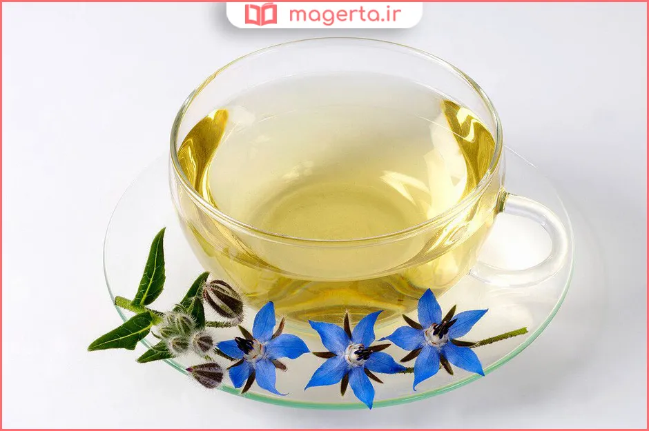 خواص دمنوش گل گاوزبان