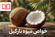 خواص میوه نارگیل چیست؟