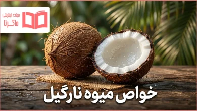 خواص میوه نارگیل چیست؟