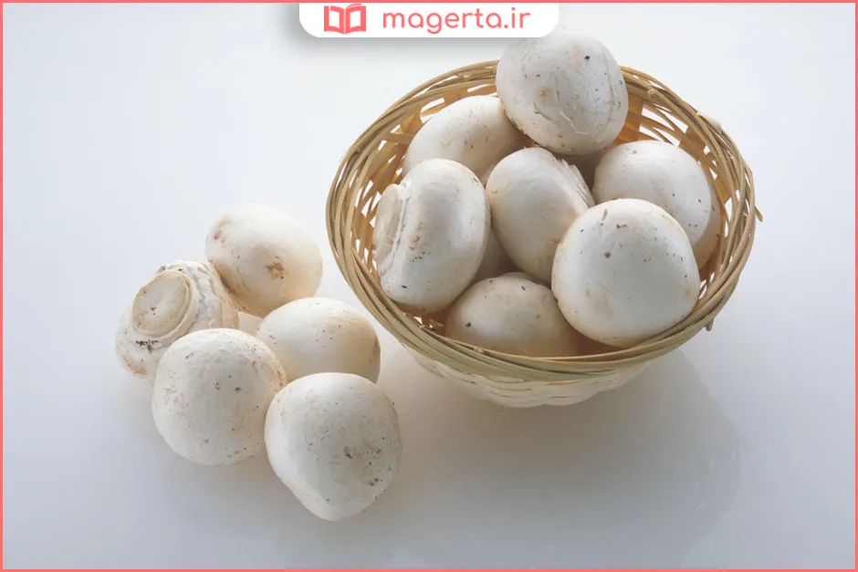 خواص قارچ خوراکی