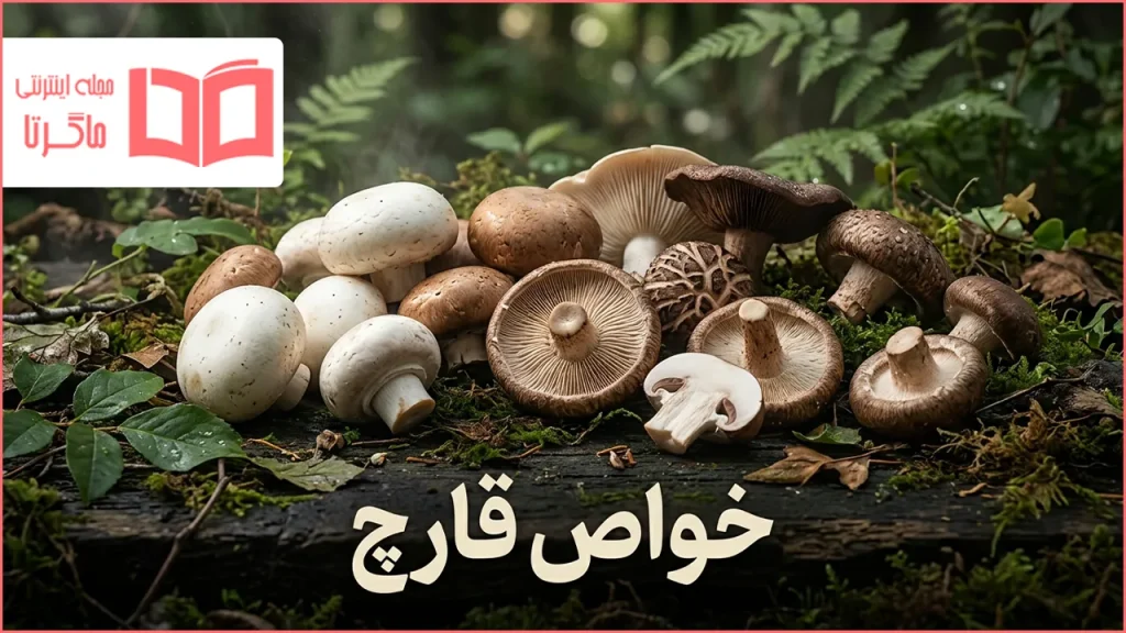 خواص قارچ
