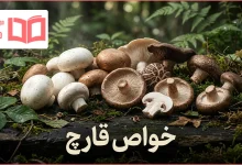 خواص قارچ