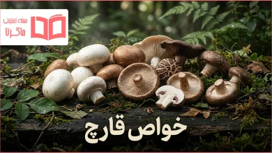 خواص قارچ