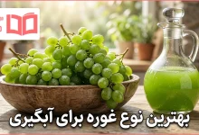 بهترین نوع غوره برای آبگیری