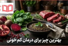 بهترین چیز برای درمان کم خونی