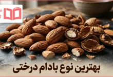 بهترین نوع بادام درختی