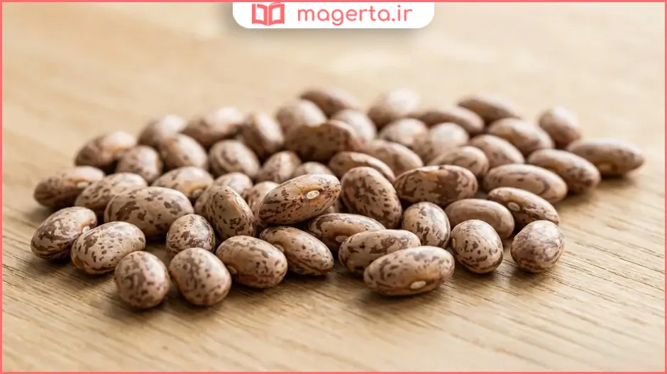 روش نگهداری لوبیا چیتی در یخچال و فریزر