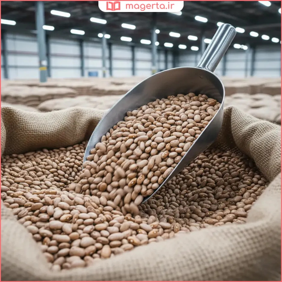 بهترین لوبیا چیتی برای چه غذایی مناسب است؟