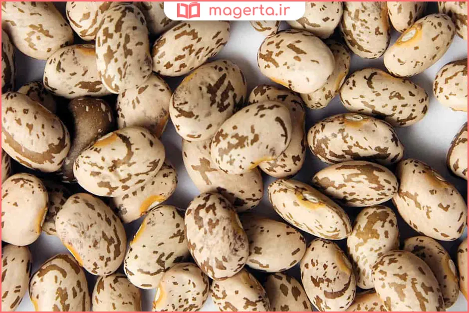 تفاوت لوبیا چیتی دلیجان و خمین و کرمانشاه