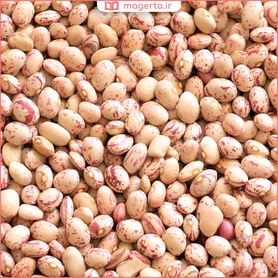 بهترین لوبیا چیتی برای خورشت قیمه و دیزی و ته‌چین