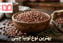 بهترین نوع لوبیا چیتی