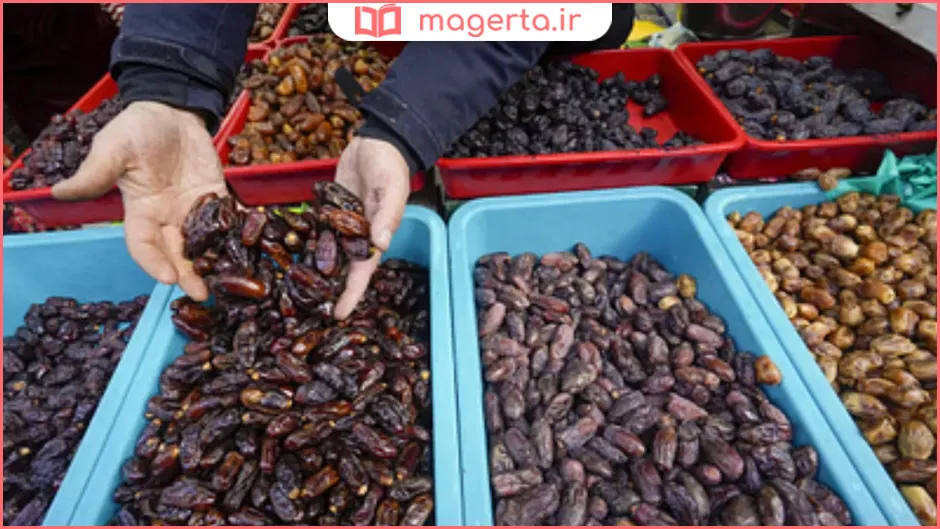 بهترین خرمای ایران