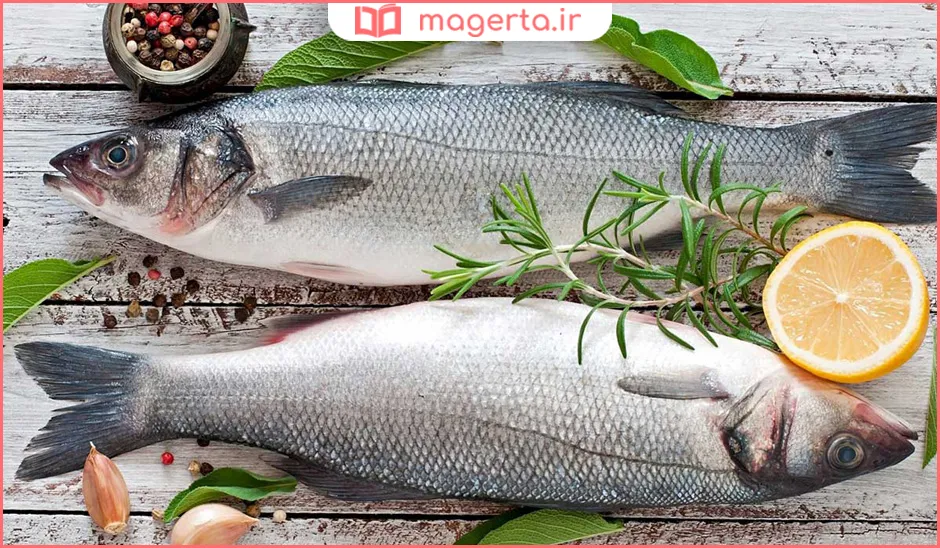 ماهی خوب برای مصرف