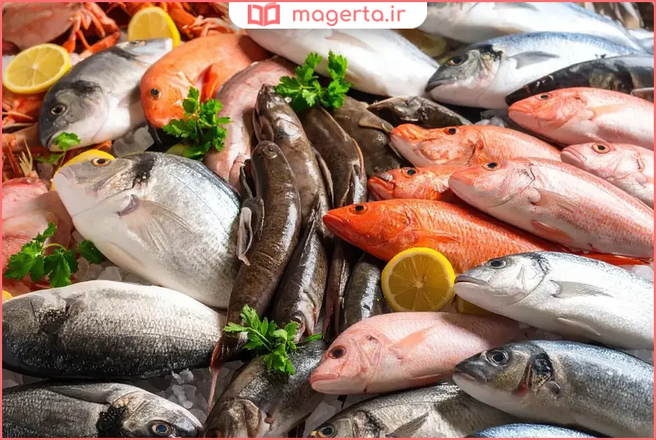 بهترین ماهی برای خوردن