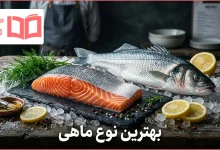 بهترین نوع ماهی