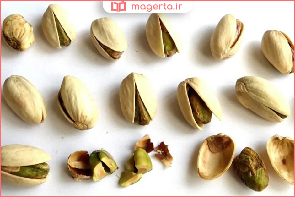 چگونه پسته را نگهداری کنیم تا کهنه نشود؟