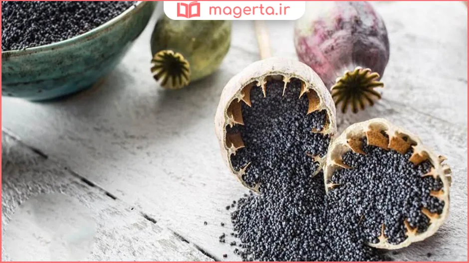 راهکارهای افزایش شیر مادر