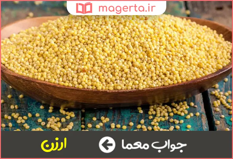 جواب معما خوراک پرندگان در جدول