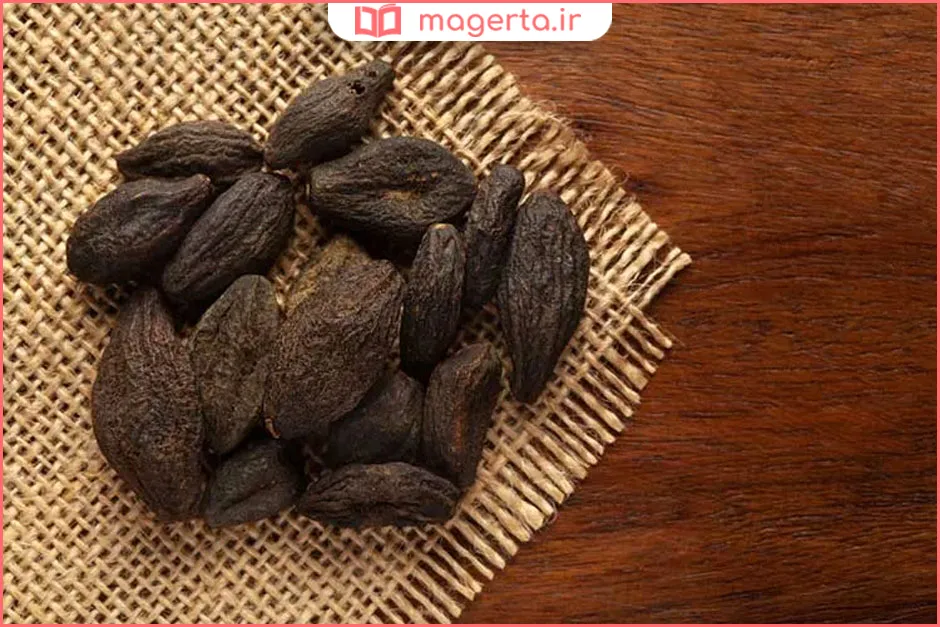 خواص هلیله سیاه