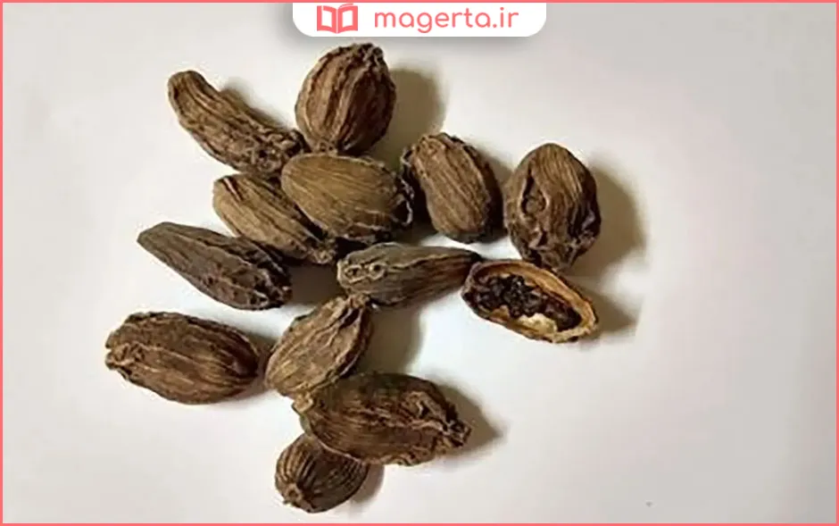 هلیله سیاه برای چی خوبه؟