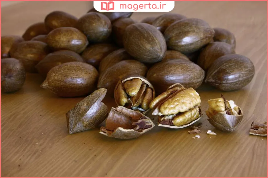 هلیله سیاه برای یبوست
