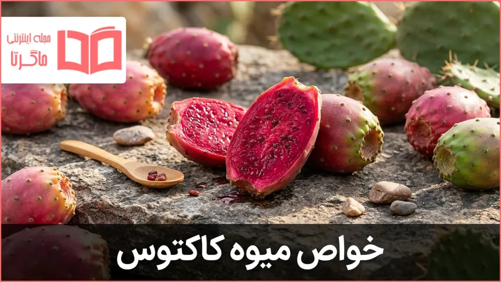 خواص میوه کاکتوس