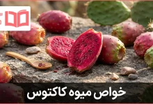 خواص میوه کاکتوس