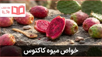 خواص میوه کاکتوس