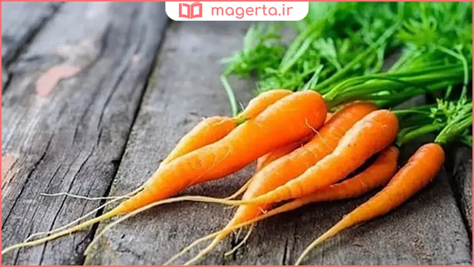 خواص هویج برای چشم