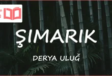 متن و ترجمه آهنگ ŞIMARIK از DERYA ULUĞ