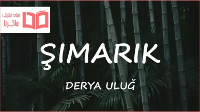 متن و ترجمه آهنگ ŞIMARIK از DERYA ULUĞ