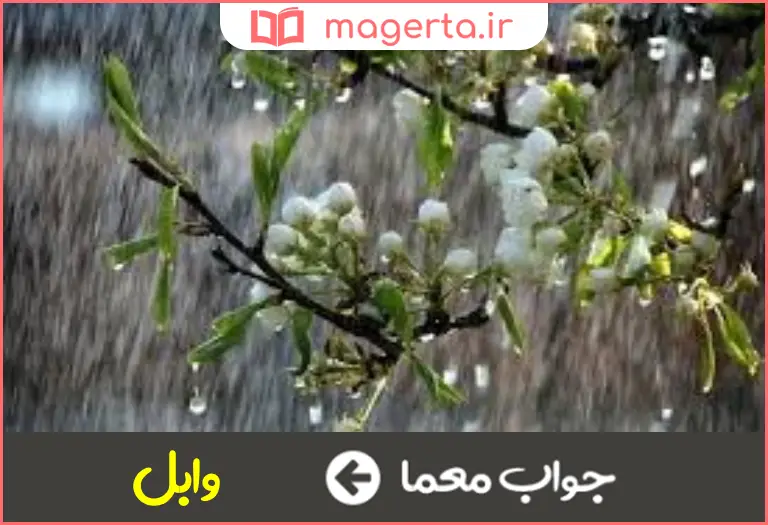 جواب معما باران تند بهاری در جدول