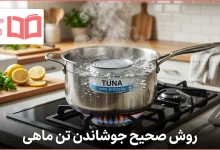 روش صحیح جوشاندن تن ماهی