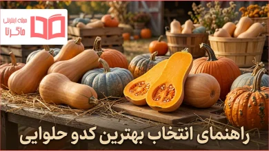 راهنمای انتخاب بهترین کدو حلوایی