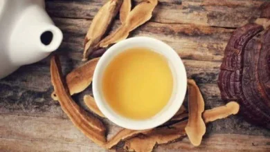 طرز تهیه دمنوش قارچ گانودرما