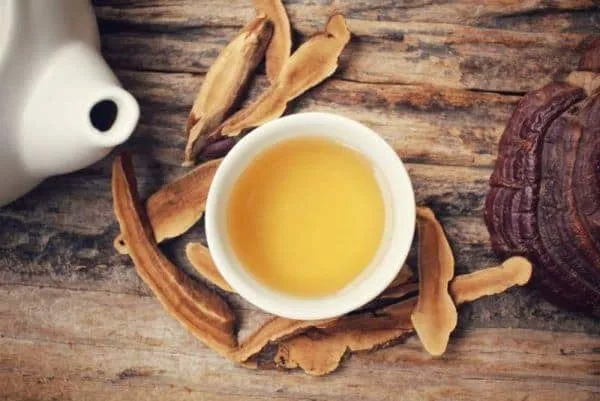 طرز تهیه دمنوش قارچ گانودرما