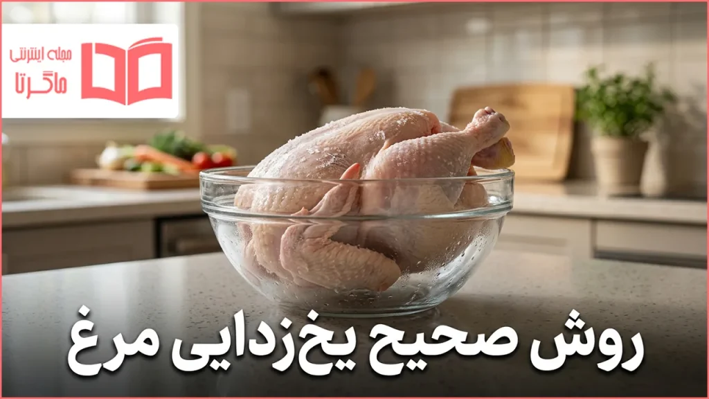 روش صحیح یخ زدایی مرغ