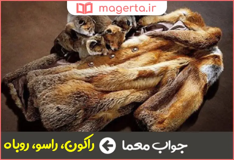 جواب معما از پوستش برای تهیه خز استفاده می شود در جدول