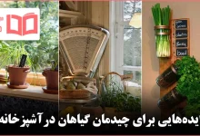 ایده برای چیدمان گیاهان برای آشپزخانه‌های باز و مدرن
