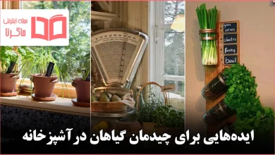 ایده برای چیدمان گیاهان برای آشپزخانههای باز و مدرن