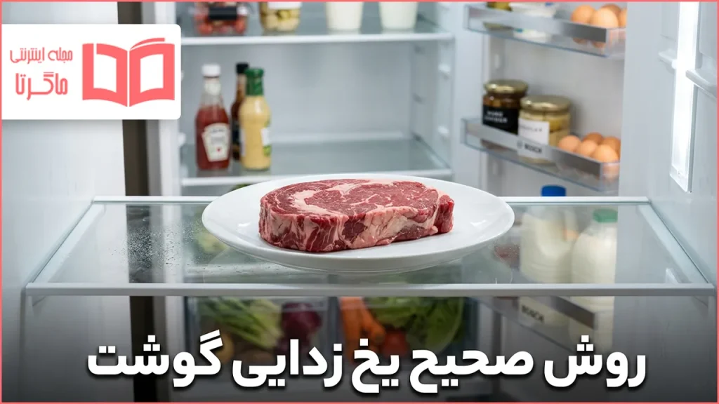 روش صحیح یخ زدایی گوشت