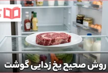 روش صحیح یخ زدایی گوشت