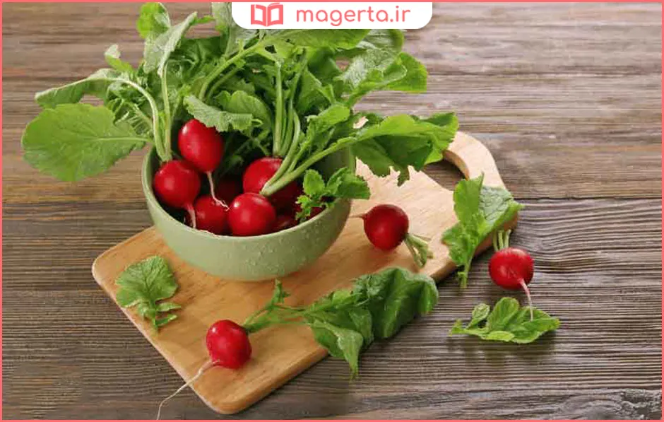 خواص تربچه قرمز برای کبد چرب چیست