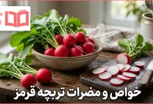 خواص و مضرات تربچه قرمز
