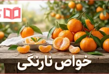 خواص نارنگی