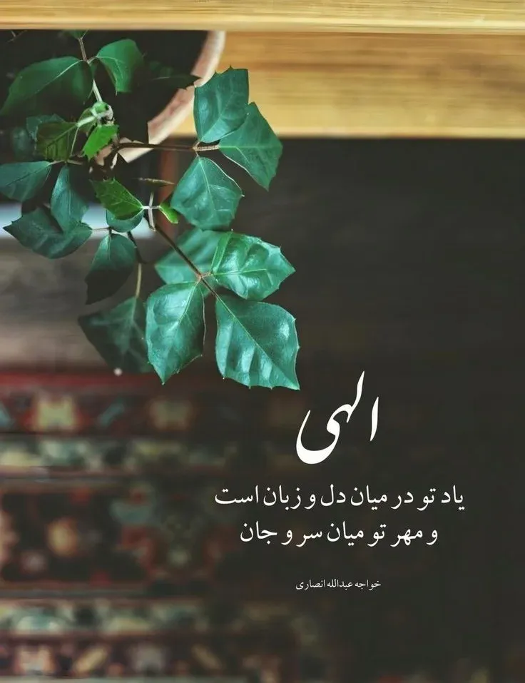 جملات ناب درباره زیبایی‌های خدا در طبیعت